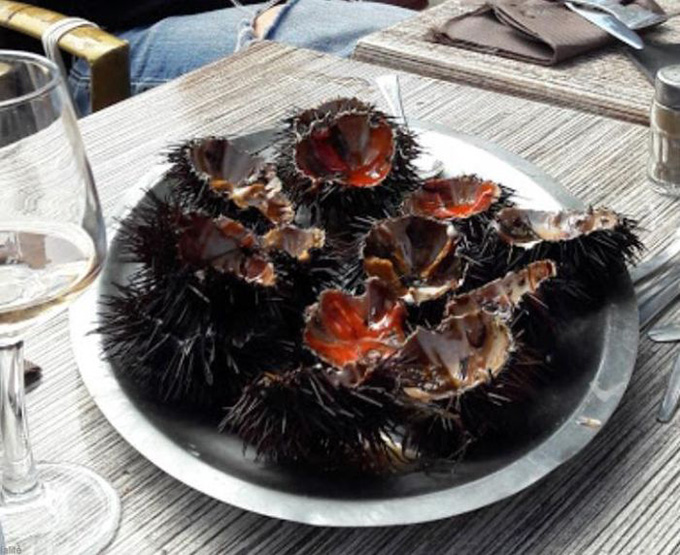 Restaurant fruits de mer Ajaccio